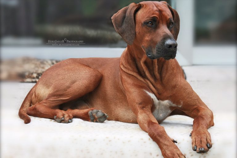 1B0A856A-057A-4AE7-B56D-F0764972ED34_1_201_a