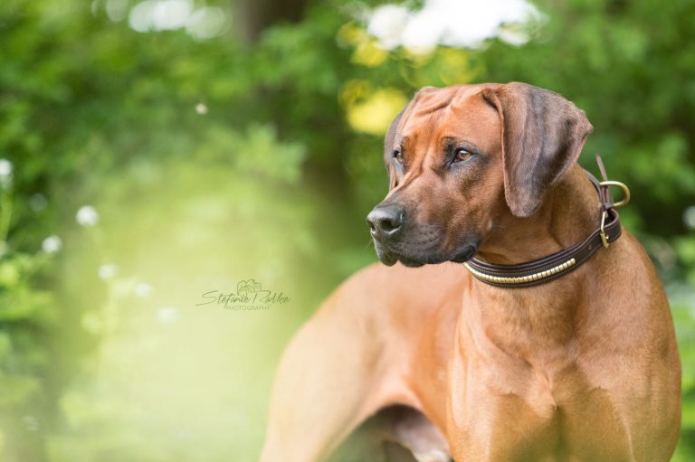 2017-06-29-PHOTO-00008481