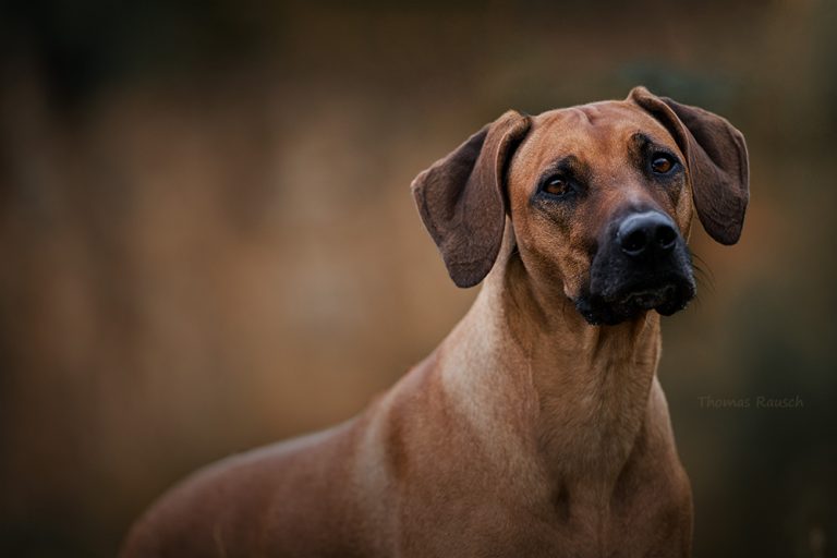 2517DD51-3A69-4BAF-AD12-B33619951DFF