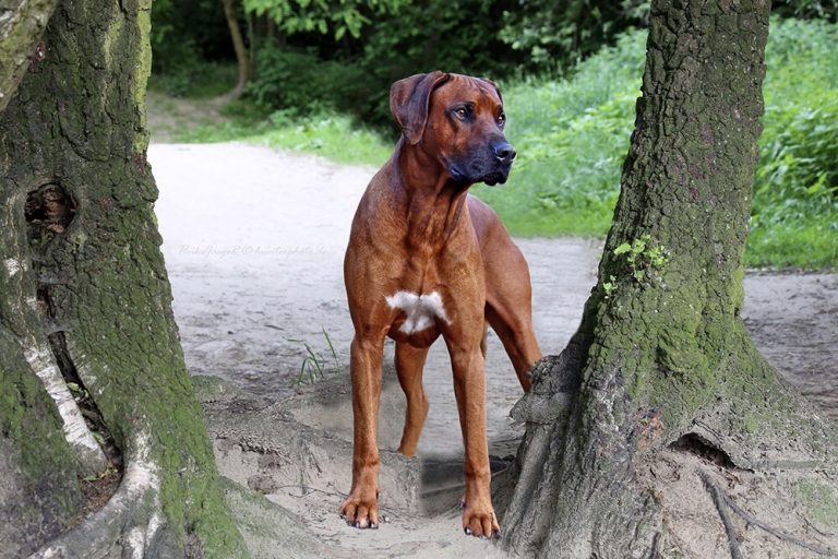 25E6E453-EC6C-4E39-B79C-198A9149E2CC_1_201_a