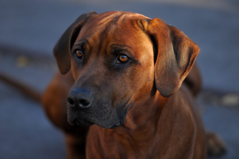 26630A7E-1B49-4BE1-AC96-3BE65CAEDA6E_1_105_c