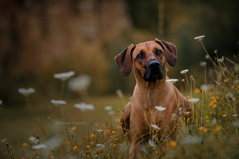 38360ACD-F377-493E-93C9-0B0CAEBF7056