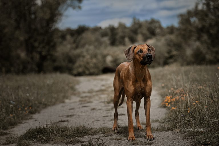 55FAD282-3533-4915-AEB1-80DB10C2184D