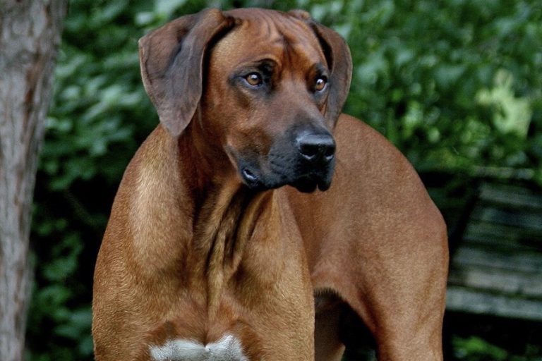 59CEA0E1-9114-4197-A560-48B737DD8A78_1_201_a