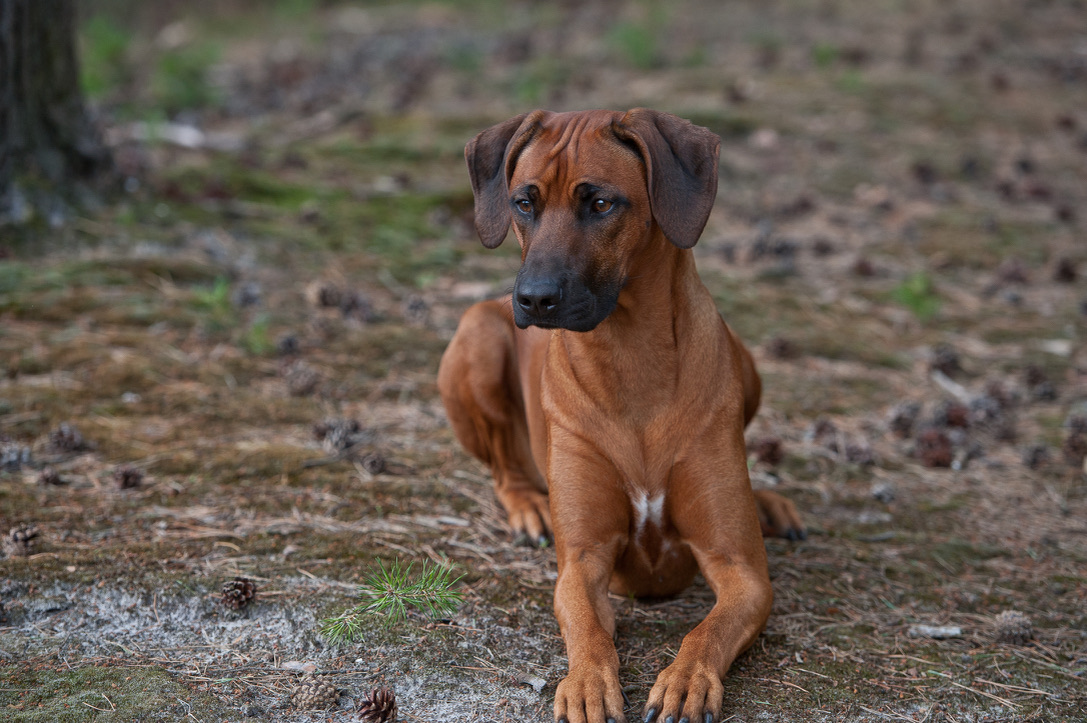 5B91C1A8-E02E-4EB8-8C23-5D5B8187FC33_1_105_c