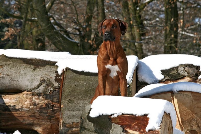 78B5E4BD-D9C9-4CEE-AE6E-9FB2F41E1459_1_201_a