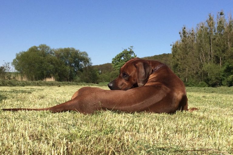 CEEDE640-D5E6-4308-A36C-6BA75DD6BAD8_1_201_a