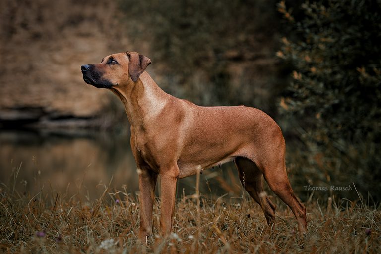 D6D905B1-2EC3-4DF7-AA91-5C32A28F475B