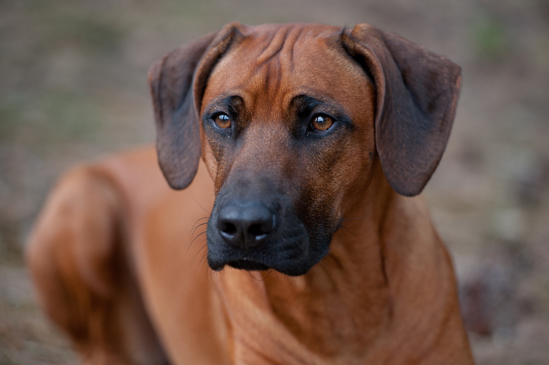 DC48EA19-81B2-45E8-9D55-3745678124F7_1_105_c