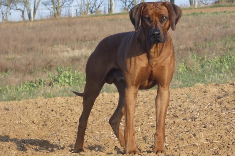 F0C4EC7E-8F8A-410B-BC68-E6AC8AD4CC14_1_201_a