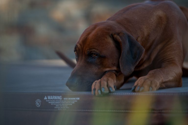 FED60116-202A-4217-B44B-4740871C1C21_1_105_c