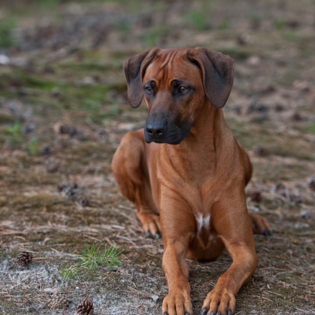 5B91C1A8-E02E-4EB8-8C23-5D5B8187FC33_1_105_c