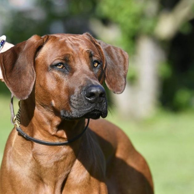 7209C935-BD1D-41F9-9D84-F9C97C8FFA6B